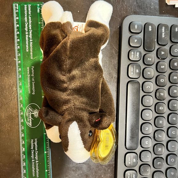 RARE Ty Beanie Baby Bruno (dog) MINT CONDITION 1997 w/ PE pellets & tag errors - Picture 14 of 14